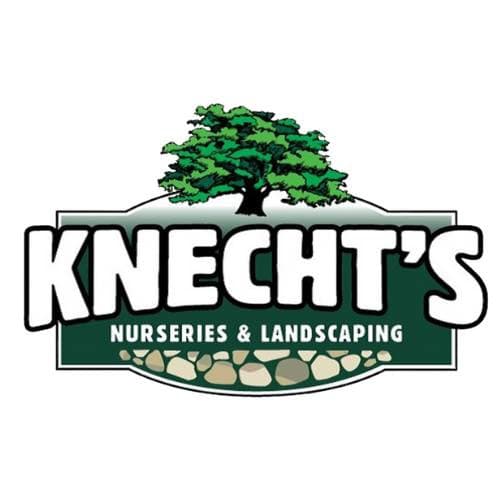 Knechts